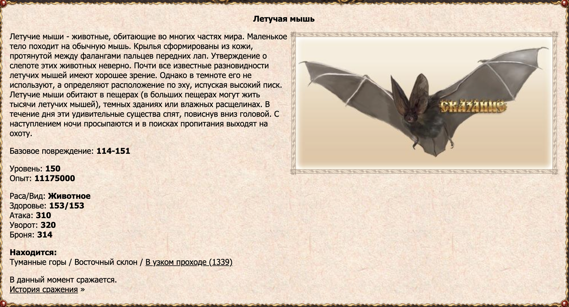 Летучая мышь